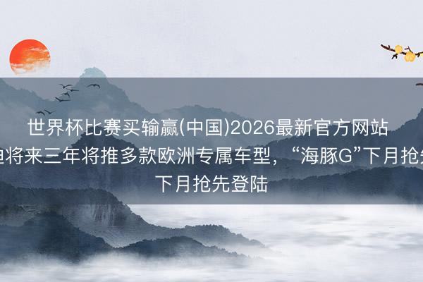世界杯比赛买输赢(中国)2026最新官方网站 比亚迪将来三年将推多款欧洲专属车型，“海豚G”下月抢先登陆