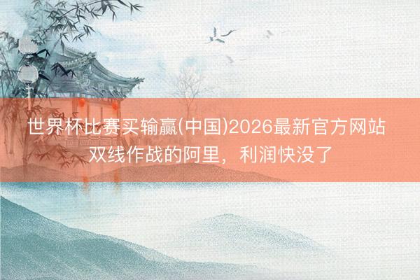 世界杯比赛买输赢(中国)2026最新官方网站 双线作战的阿里，利润快没了