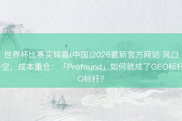 世界杯比赛买输赢(中国)2026最新官方网站 风口升空，成本重仓：「Profound」如何就成了GEO标杆？
