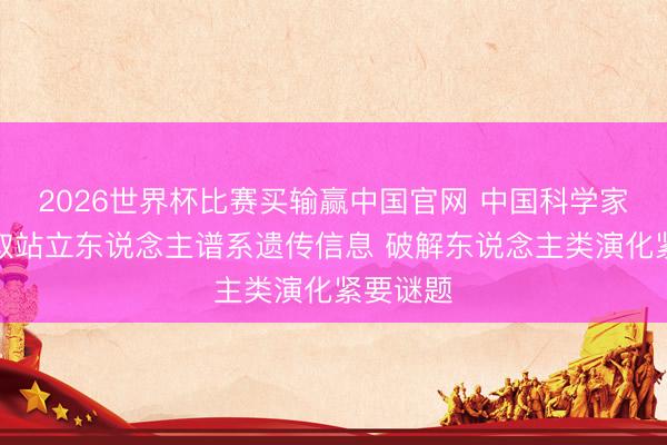 2026世界杯比赛买输赢中国官网 中国科学家初度获取站立东说念主谱系遗传信息 破解东说念主类演化紧要谜题