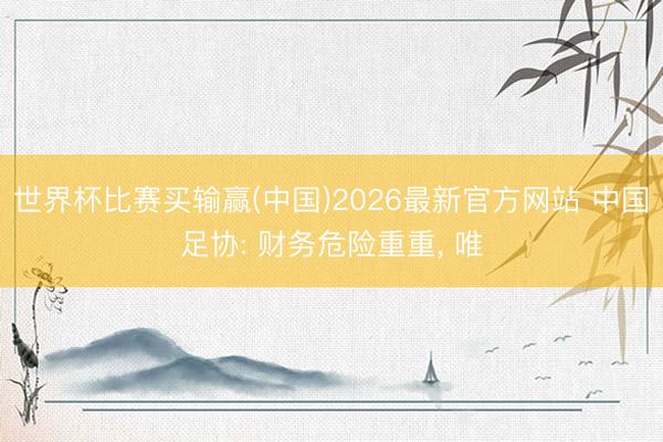 世界杯比赛买输赢(中国)2026最新官方网站 中国足协: 财务危险重重， 唯