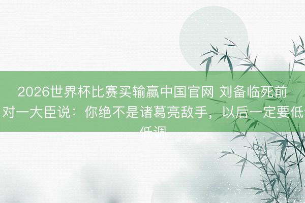 2026世界杯比赛买输赢中国官网 刘备临死前，对一大臣说：你绝不是诸葛亮敌手，以后一定要低调