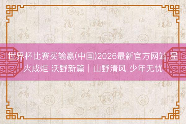 世界杯比赛买输赢(中国)2026最新官方网站 星火成炬 沃野新篇|山野清风 少年无忧