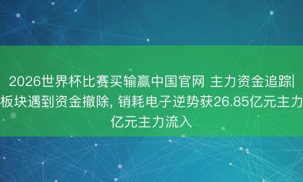 2026世界杯比赛买输赢中国官网 主力资金追踪|巨额板块遇到资金撤除， 销耗电子逆势获26.85亿元主力流入