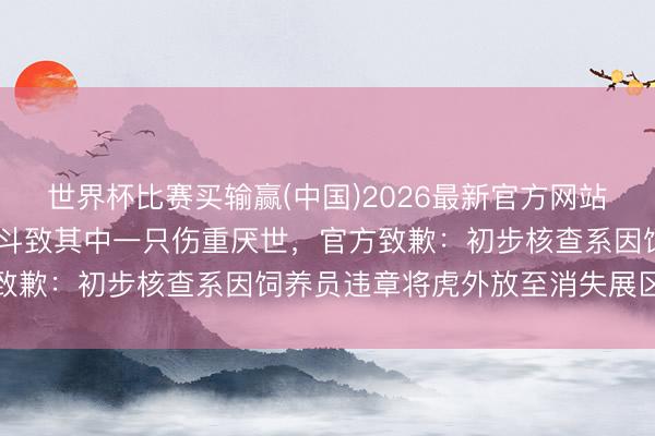 世界杯比赛买输赢(中国)2026最新官方网站 青岛动物园两只白虎打斗致其中一只伤重厌世，官方致歉：初步核查系因饲养员违章将虎外放至消失展区变成