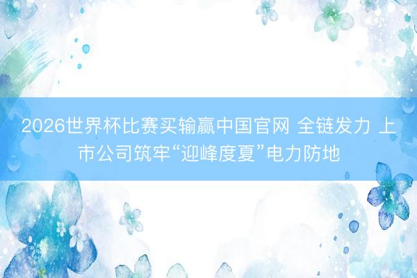 2026世界杯比赛买输赢中国官网 全链发力 上市公司筑牢“迎峰度夏”电力防地