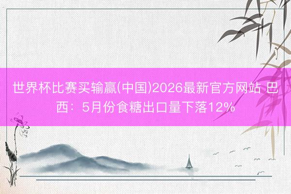 世界杯比赛买输赢(中国)2026最新官方网站 巴西：5月份食糖出口量下落12%