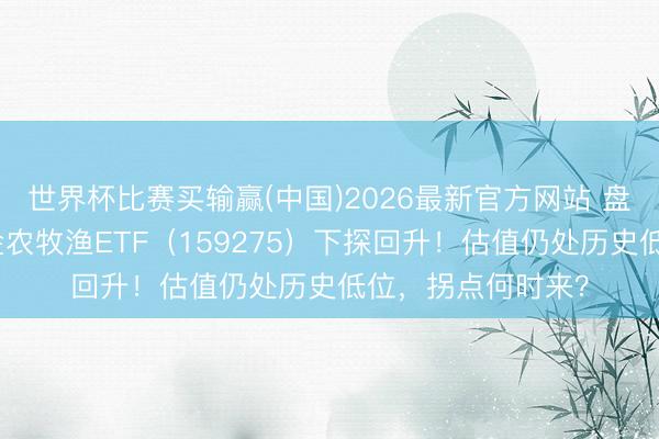 世界杯比赛买输赢(中国)2026最新官方网站 盘中巨震！华宝基金农牧渔ETF（159275）下探回升！估值仍处历史低位，拐点何时来？