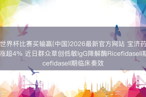 世界杯比赛买输赢(中国)2026最新官方网站 宝济药业-B盘中涨超4% 近日群众草创低敏IgG降解酶RicefidaseII期临床奏效